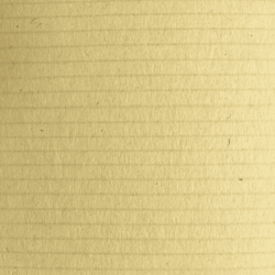 デュークブラウン 155kg ベージ