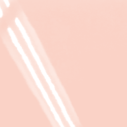 ファンタス 135kg モモ(モモ面)