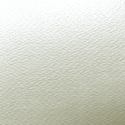 五感紙 135kg 純白キラ