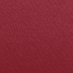 マーメイド 153kg 祝い紅