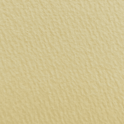 マーメイド 153kg ペールピーチ