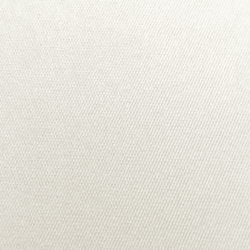 ミニッツGA 170kg スノーホワイト