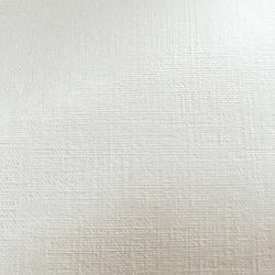 エンボス サンバ160kg シルク