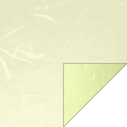 漉合せ新大礼紙 イエロー 90kg