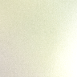 NEW特レーブル輝き ゴールド 73kg